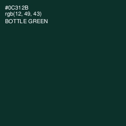 #0C312B - Bottle Green Color Image