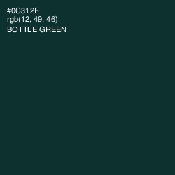 #0C312E - Bottle Green Color Image