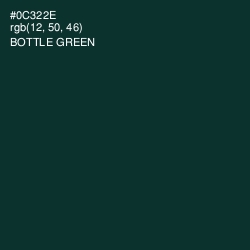 #0C322E - Bottle Green Color Image