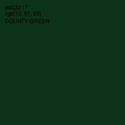 #0C3317 - County Green Color Image