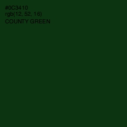 #0C3410 - County Green Color Image