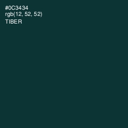 #0C3434 - Tiber Color Image