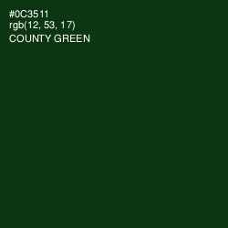 #0C3511 - County Green Color Image