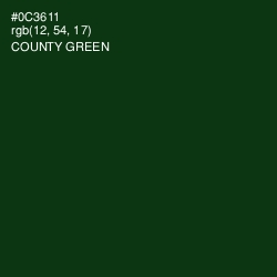 #0C3611 - County Green Color Image