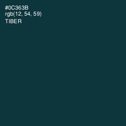 #0C363B - Tiber Color Image