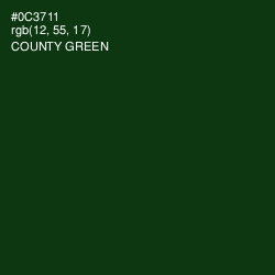 #0C3711 - County Green Color Image