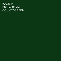 #0C3714 - County Green Color Image