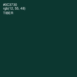 #0C3730 - Tiber Color Image