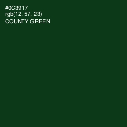 #0C3917 - County Green Color Image