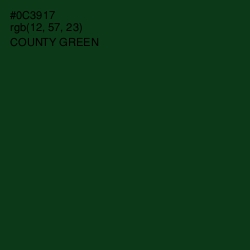 #0C3917 - County Green Color Image