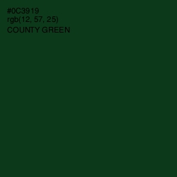 #0C3919 - County Green Color Image