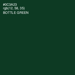 #0C3A23 - Bottle Green Color Image
