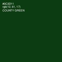 #0C3D11 - County Green Color Image