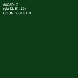 #0C3D17 - County Green Color Image