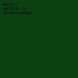 #0C3F11 - County Green Color Image