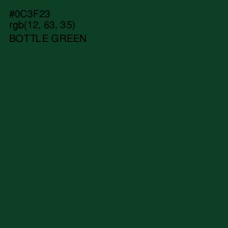 #0C3F23 - Bottle Green Color Image