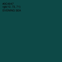 #0C4947 - Evening Sea Color Image