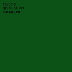 #0C5116 - Camarone Color Image