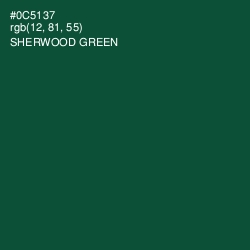 #0C5137 - Sherwood Green Color Image