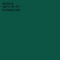 #0C5443 - Evening Sea Color Image