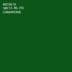 #0C5619 - Camarone Color Image