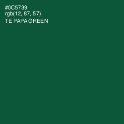 #0C5739 - Te Papa Green Color Image