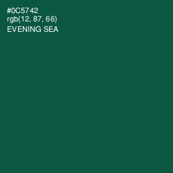 #0C5742 - Evening Sea Color Image