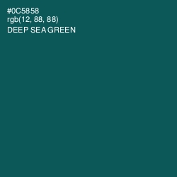 #0C5858 - Deep Sea Green Color Image