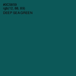 #0C5859 - Deep Sea Green Color Image