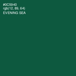 #0C5940 - Evening Sea Color Image