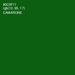 #0C5F11 - Camarone Color Image