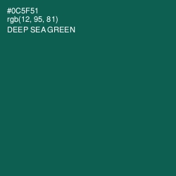 #0C5F51 - Deep Sea Green Color Image