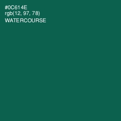 #0C614E - Watercourse Color Image