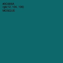 #0C686A - Mosque Color Image