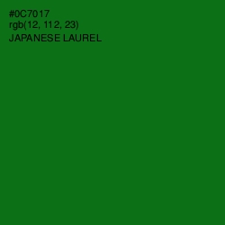 #0C7017 - Japanese Laurel Color Image