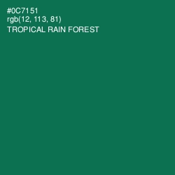 #0C7151 - Tropical Rain Forest Color Image
