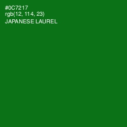 #0C7217 - Japanese Laurel Color Image