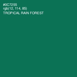 #0C7255 - Tropical Rain Forest Color Image