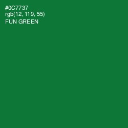 #0C7737 - Fun Green Color Image