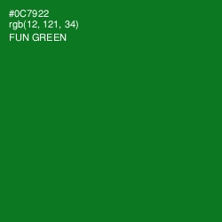 #0C7922 - Fun Green Color Image