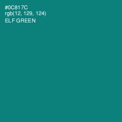 #0C817C - Elf Green Color Image