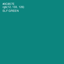 #0C857E - Elf Green Color Image