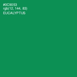 #0C9053 - Eucalyptus Color Image