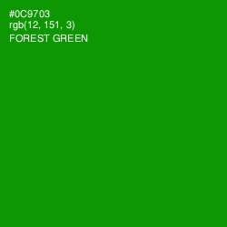 #0C9703 - Forest Green Color Image