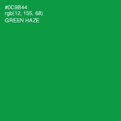 #0C9B44 - Green Haze Color Image