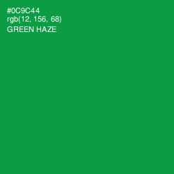 #0C9C44 - Green Haze Color Image