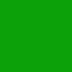 #0CA009 - Forest Green Color Image