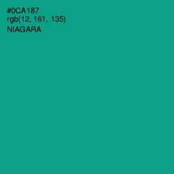 #0CA187 - Niagara Color Image