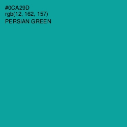 #0CA29D - Persian Green Color Image