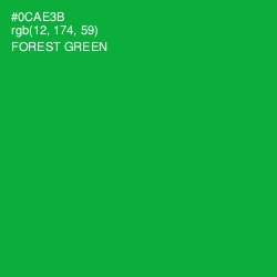 #0CAE3B - Forest Green Color Image